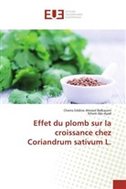 Sihem Abi-Ayad, Chems Eddin Ahmed Belkacem, Chems Eddine Ahmed Belkacem - Effet du plomb sur la croissance chez Coriandrum sativum L.