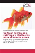ARMANDO ADOLF Ortega-Salas, Hug Reyes Bustamante, Hugo Reyes Bustamante - Cultivar microalgas, rotíferos y cladóceros para alimentar peces