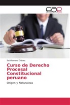 Saúl Romero  Chávez, Saúl Romero Chávez - Curso de Derecho Procesal Constitucional peruano