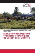 Alej Córdva Yanez, Alejandro Córdva Yanez, Francisco Antoni Medina Ortiz, Francisco Antonio Medina Ortiz, Jesús Vázquez - Evaluación del programa "Paquetes Tecnológicos de Sorgo" en el DDR 143