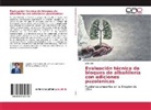 Julio Soto - Evaluación técnica de bloques de albañilería con adiciones puzolanicas