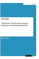 Louisa Krüger, United States Internal Revenue Service - "Superfoods". Welche Bedeutung hat Instagram als Marketinginstrument?
