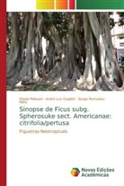 André Luiz Gaglioti, Gisela Pelissari, Sergio Romaniuc-Neto - Sinopse de Ficus subg. Spherosuke sect. Americanae: citrifolia/pertusa