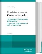 Stefa Heilmann, Stefan Heilmann, Stefa Heilmann (Prof. Dr.), Stefan Heilmann (Prof. Dr.) - Praxiskommentar Kindschaftsrecht - mit Checklisten, Praxisbeispielen und Übersichten. BGB - FamFG - SGB VIII - RPflG - HKÜ - IntFamRVG u.a.