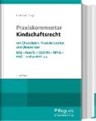 Stefa Heilmann, Stefan Heilmann, Stefa Heilmann (Prof. Dr.), Stefan Heilmann (Prof. Dr.) - Praxiskommentar Kindschaftsrecht