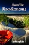 Johannes Wilkes - Dünendämmerung