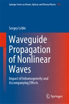 Sergey Leble - Waveguide Propagation of Nonlinear Waves