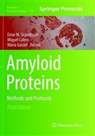 Migue Calero, Miguel Calero, Maria Gasset, María Gasset, Einar M. Sigurdsson - Amyloid Proteins