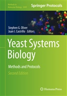 Juan Castrillo, Juan I. Castrillo, Stephe G Oliver, Stephen G Oliver, I Castrillo, I Castrillo... - Yeast Systems Biology