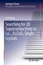 Itzik Kapon - Searching for 2D Superconductivity in La2-xSrxCuO4 Single Crystals