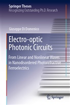 Giuseppe Di Domenico - Electro-optic Photonic Circuits