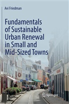 Avi Friedman - Fundamentals of Sustainable Urban Renewal in Small and Mid-Sized Towns