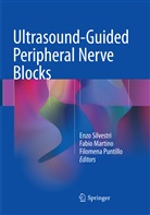 Fabi Martino, Fabio Martino, Filomena Puntillo, Enzo Silvestri - Ultrasound-Guided Peripheral Nerve Blocks