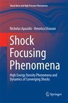 Nichola Apazidis, Nicholas Apazidis, Veronica Eliasson - Shock Focusing Phenomena