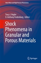 Anthony Fredenburg, Anthony Fredenburg, D. Anthony Fredenburg, Trac J Vogler, Tracy J Vogler, Tracy Vogler... - Shock Phenomena in Granular and Porous Materials