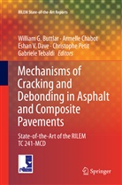 William G. Buttlar, Armell Chabot, Armelle Chabot, Eshan V. Dave, Christophe Petit, Gabriele Tebaldi... - Mechanisms of Cracking and Debonding in Asphalt and Composite Pavements