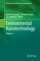 Nandita Dasgupta, Eric Lichtfouse, Shivend Ranjan, Shivendu Ranjan - Environmental Nanotechnology