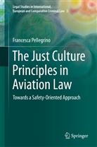 Francesca Pellegrino - The Just Culture Principles in Aviation Law