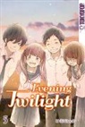 Maki Usami - Evening Twilight. Bd.5