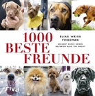 Elias Weiss Friedman - 1000 beste Freunde