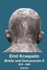 Emil Kraepelin - Briefe und Dokumente. Bd.2