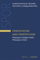 Godehard Brüntrup, Godehard Brüntrup et al, Benedikt Paul Göcke, Jaskol, Ludwig Jaskolla, Brun Niederbacher SJ... - Panentheism and Panpsychism