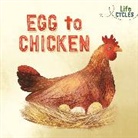 Stephanie Fizer Coleman, Stephanie Fizer Coleman, Rachel Tonkin, Tonkin Rachel, Stephanie Fizer Coleman - Life Cycles: Egg to Chicken
