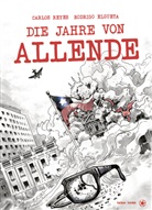 Rodrigo Elgueta, Carlos Reyes, Rodrigo Elgueta - Die Jahre von Allende