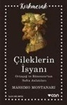 Massimo Montanari - Cileklerin Isyani