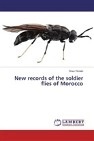 Driss Yimlahi - New records of the soldier flies of Morocco