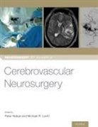 Dr Peter (Professor of Neurosurgery Nakaji, Peter Levitt Nakaji, Dr Michael (Assistant Professor of Neurological Surgery and Radiology Levitt, Michael Levitt, Dr Peter (Professor of Neurosurgery Nakaji, Peter Nakaji - Cerebrovascular Neurosurgery