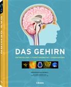 Ken Ashwell - Das Gehirn