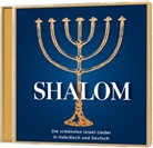 Kath Arndt, Kathi Arndt, Heik Barth, Heike Barth, Priscilla u a Braun - Shalom, 2 Audio-CD (Audio book)