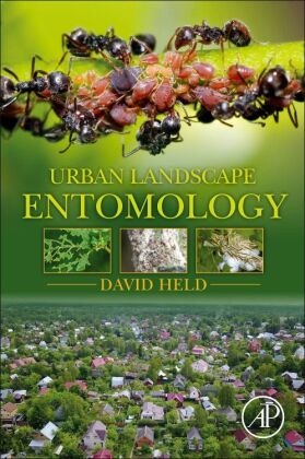 David Held, David (Associate Professor of Entomology Held, Held David - Urban Landscape Entomology