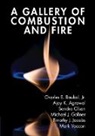 Jr. Baukal, Charles Baukal Jr - Gallery of Combustion and Fire