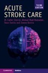 Mary Carter Denny, Mary Carter Ramadan Denny, James Grotta, James Ramadan Grotta, Ahmad Riad Ramadan, Sean I Savitz... - Acute Stroke Care