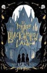 Julia Nobel - The Mystery of Black Hollow Lane