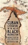 Matthew Pettway - Cuban Literature in the Age of Black Insurrection