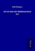 Peter Rosegger - Als ich noch der Waldbauernbub war