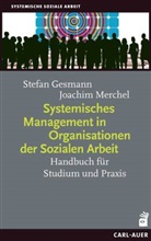 Stefa Gesmann, Stefan Gesmann, Joachim Merchel - Systemisches Management in Organisationen der Sozialen Arbeit