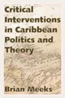 Brian Meeks - Critical Interventions in Caribbean Politics and Theory