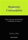 Antonio Leopold Rappa, Antonio L. Rappa, Antonio Leopold Rappa - Modernity And Consumption: Theory, Politics, And The Public In Singapore And Malaysia