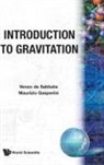 Venzo De Sabbata, Venzo (Univ Of Bologna De Sabbata, Maurizio Gasperini, Maurizio (Univ Di Bari Gasperini, M Gasperini, V de SABBATA M Gasperini... - Introduction to Gravtitation (B/H)