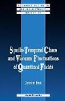 Christian Beck, Christian (Univ Of London Beck - Spatio-Temporal Chaos & Vacuum Fluctuations of Quantized Fields