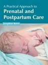 Josephine Buren - A Practical Approach to Prenatal and Postpartum Care