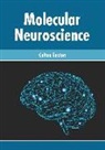 Colton Easton - Molecular Neuroscience