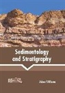 Aiden Williams - Sedimentology and Stratigraphy