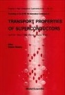 Roberto Nicolsky - Transport Properties of Superconductors - Proceedings of the International Conference