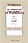 David J Gross, David J Gross, David J. Gross, Tsvi Piran, Piran Tsvi, Steven Weinberg... - Two Dimensional Quantum Gravity And Random Surfaces - 8th Jerusalem Winter School For Theoretical Physics