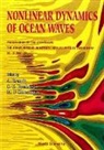 A Brandt, A. Brandt, Michael F Shlesinger, S E Ramberg, S. E. Ramberg, S E Ramberg... - Nonlinear Dynamics Of Ocean Waves - Proceedings Of The Symposium